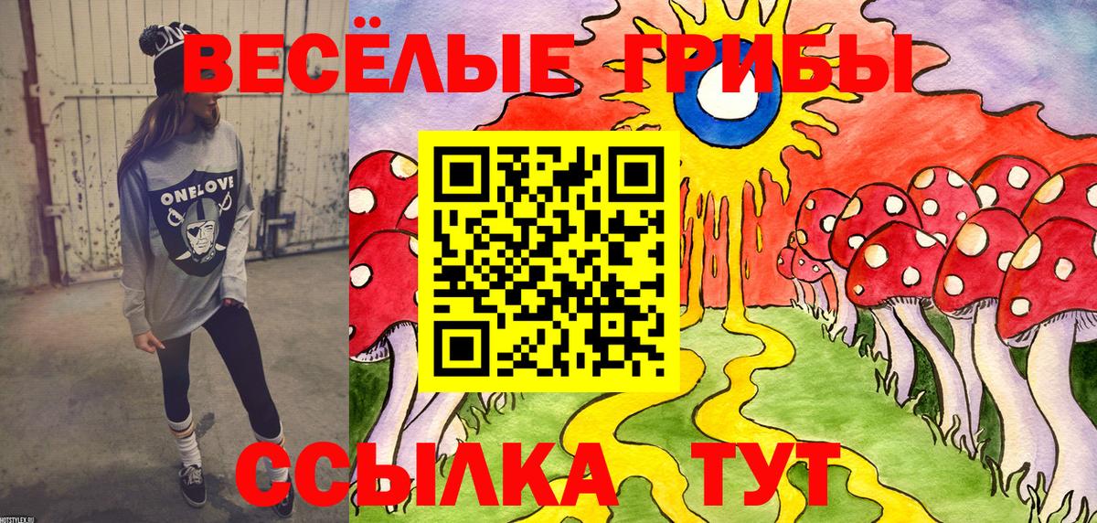 Псилоцибиновые грибы прущие грибы  Вход с VPN  Псилоцибиновые грибы ЛСД  Благовещенск 